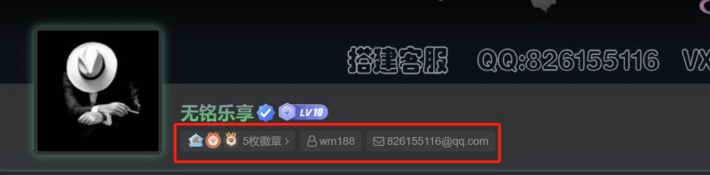 子比主题美化-用户中心添加UID、用户名、邮箱按钮美化-无铭博客